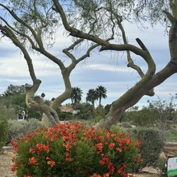 Camelback Golf Club - Rest stop view.