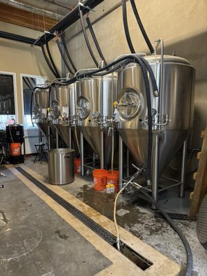 Waterman Brewing Company by null