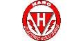 Haro Electric Solutions