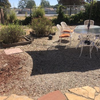 Green Cactus Landscapes - Before 2/2 - Landscaping Near Me