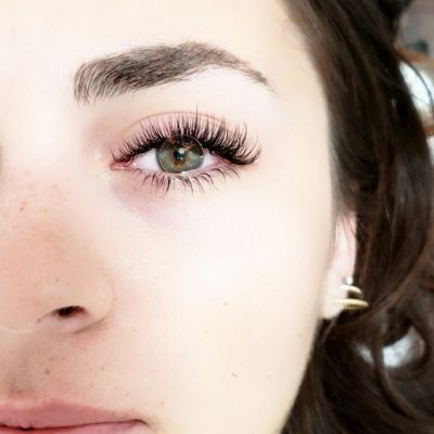 Virtue Lash by null