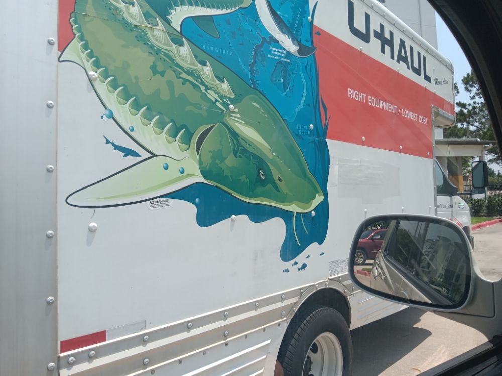 JUST 2 EZ CLEANERS Request a Quote Spring, Texas Home Cleaning