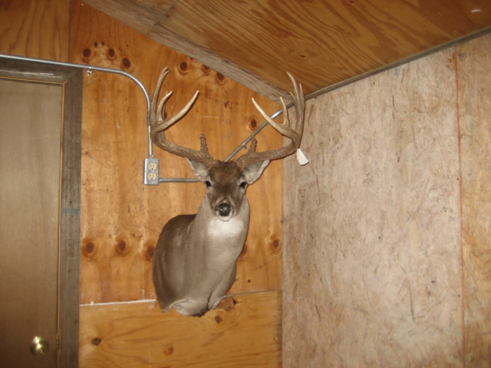 Bar S Taxidermy & Deer Processing - taxidermy in Floresville, TX