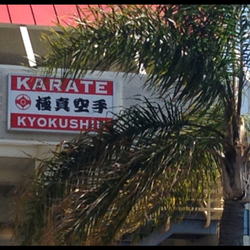 Kyokushin Karate