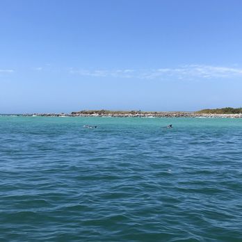 Upham Beach - Frequent Dolphin spotting. - Beaches Near Me - Saint Pete Beach, Florida