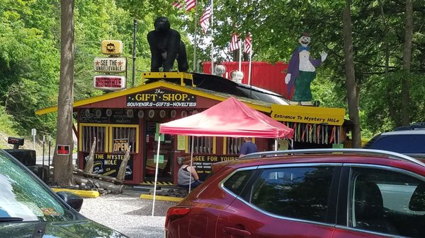 Mystery Hole by null