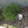 Jess Lawn Services