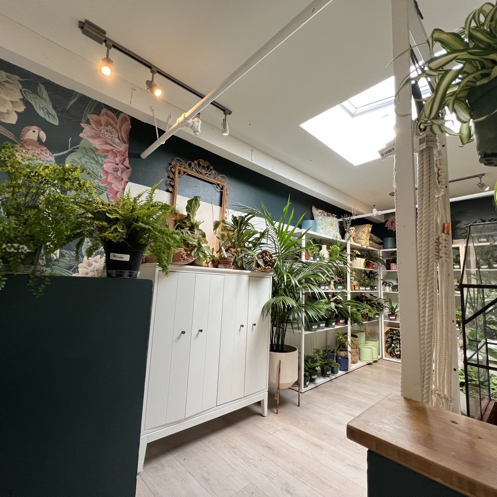 Cactus Nursery Berkeley, CA - Last Updated January 2026 - Yelp