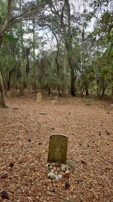 False Cape State Park by null