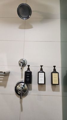 Ironworks Hotel Indy by null