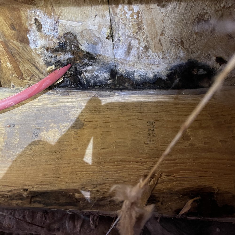 Master shower subfloor damage Master shower subfloor damage
