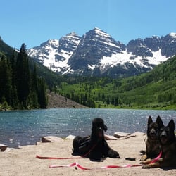 Aspen Animal Hospital