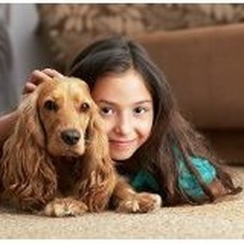 Carpets By the Ocean - Carpet Cleaning Near Me - Fenwick Island, Delaware Carpets By the Ocean - Carpet Cleaning Near Me - Fenwick Island, Delaware