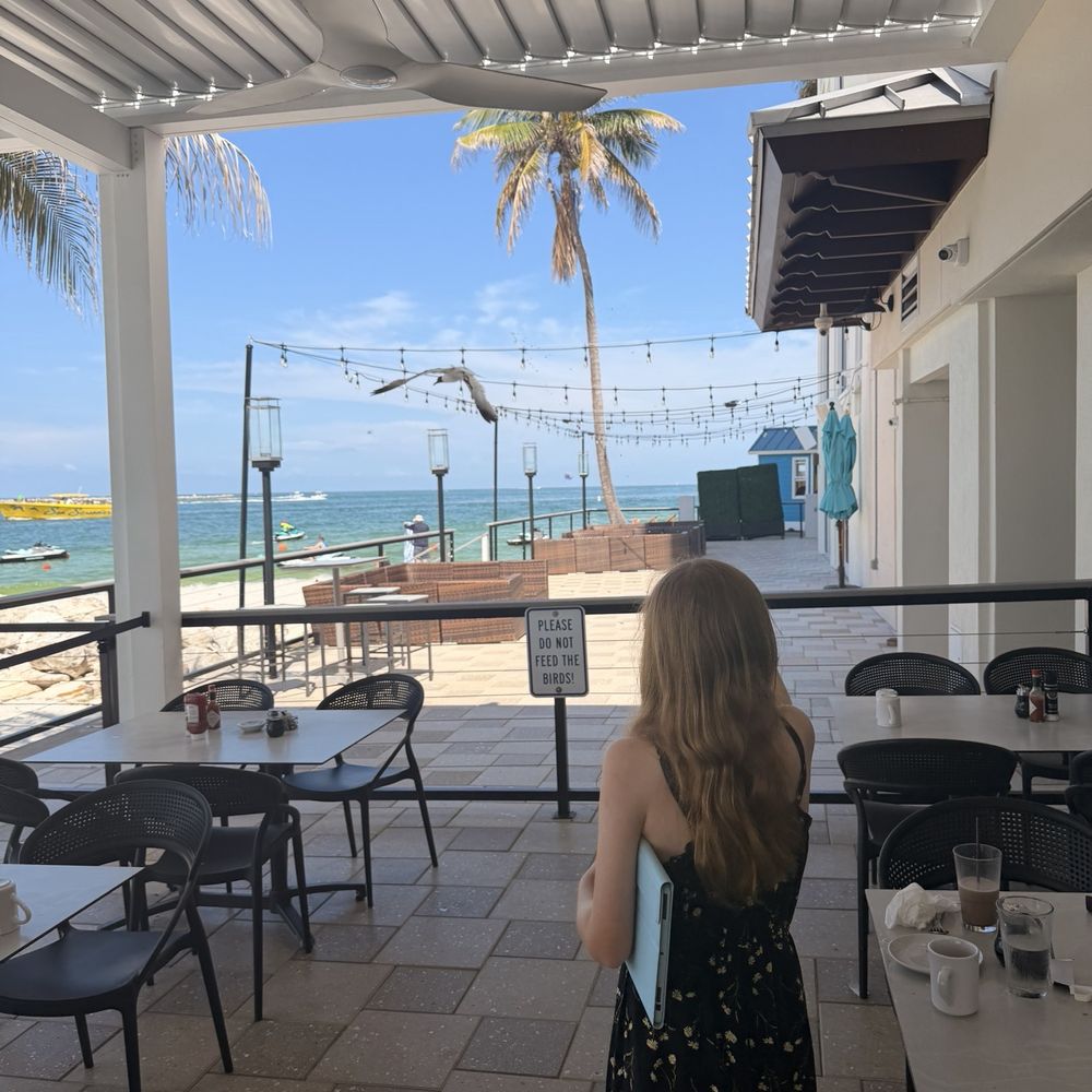 Cove Kitchen + Bar - Birds were not too bad at all... but they are ready in the distance for when you leave your plate unattended - Salad Near Me - Clearwater Beach, Florida Cove Kitchen + Bar - Birds were not too bad at all... but they are ready in the distance for when you leave your plate unattended - Salad Near Me - Clearwater Beach, Florida