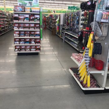 Dollar Tree - Discount Store Near Me - Saint Johns, Florida