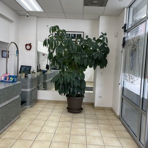 Gen Cleaners on Yelp