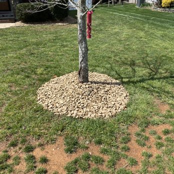 Cardinal Lawn Care - After - Lawn Services Near Me