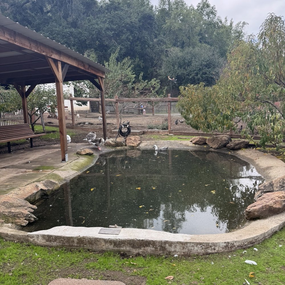 Deer Hollow Farm - Kids Activities Near Me - Cupertino, California