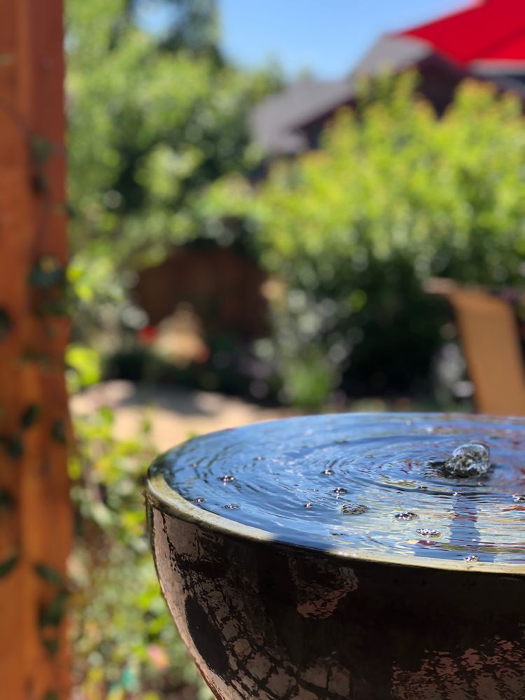 Slide of Blooming Desert Design + Build