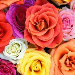 Rose Nail & Spa - Rose Nails & Spa