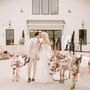 Photo of Bella Cavalli Events