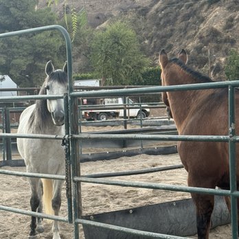 Gibson Ranch - Horse Boarding Near Me - Sunland, California Gibson Ranch - Horse Boarding Near Me - Sunland, California
