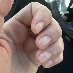 Shiny Nails