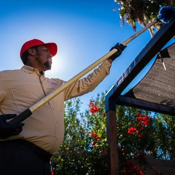 Phoenix Pest & Termite Control - Pest Control Near Me - Phoenix, Arizona Phoenix Pest & Termite Control - Pest Control Near Me - Phoenix, Arizona