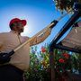 Phoenix Pest & Termite Control