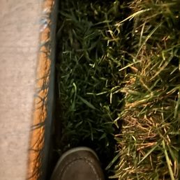 Use zero dirt underneath sod when finally came back all sod died instantly