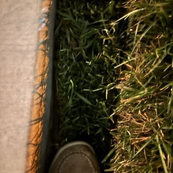 QTC Landscape Construction - Use zero dirt underneath sod when finally came back all sod died instantly - Artificial Turf Near Me