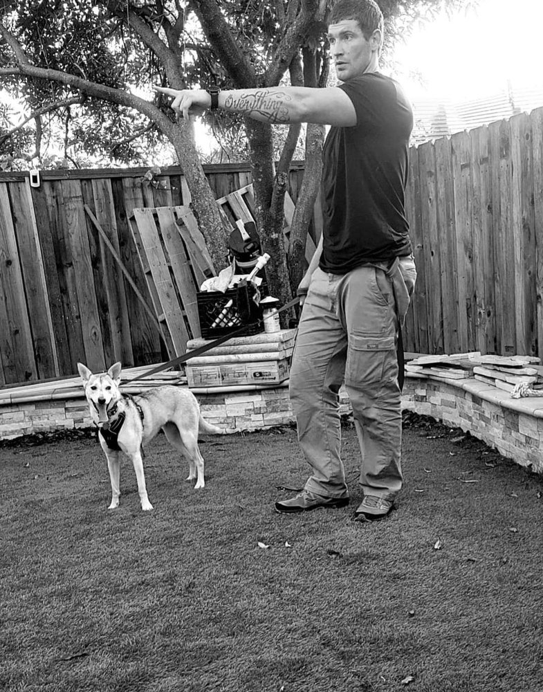 Real Dog Solutions - pet boarding facility in Omaha, NE