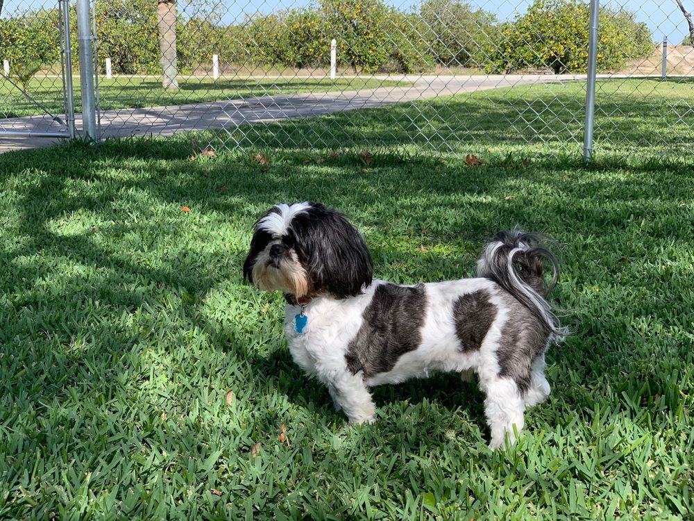 OAK HAMMOCK ANIMAL HOSPITAL Updated October 2024 10 Photos & 11