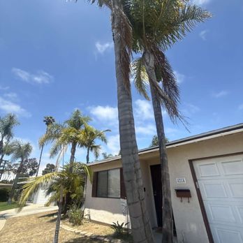 West Valley Tree Service - BEFORE - Tree Services Near Me