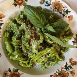 Rikito - Lil pesto vert
