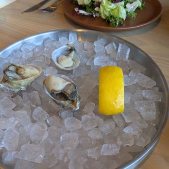 Arquet - West Coast oysters on the half shell, kumquat kosho mignonette - New American Near Me - San Francisco, California Arquet - West Coast oysters on the half shell, kumquat kosho mignonette - New American Near Me - San Francisco, California