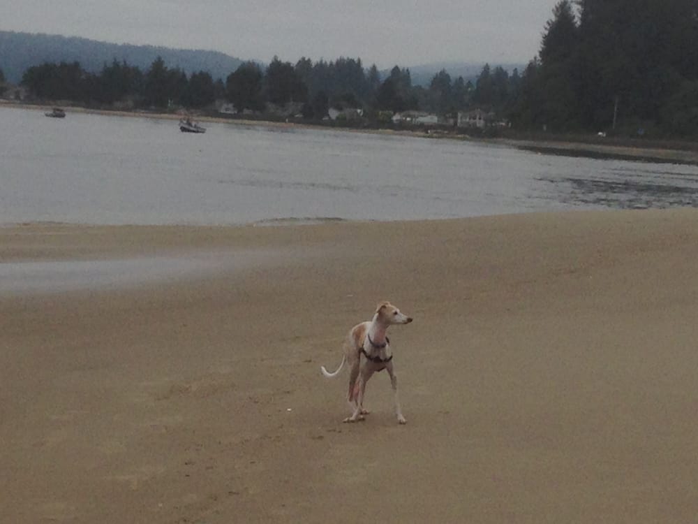 HANDY HAVEN RV PARK & CAR WASH Updated September 2024 655 SW Starr