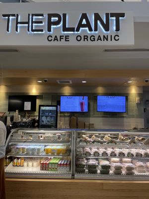 The Plant Café Organic by null