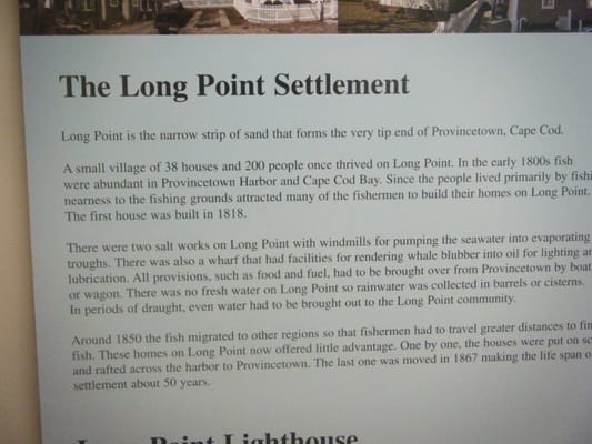 Long Point Beach by null