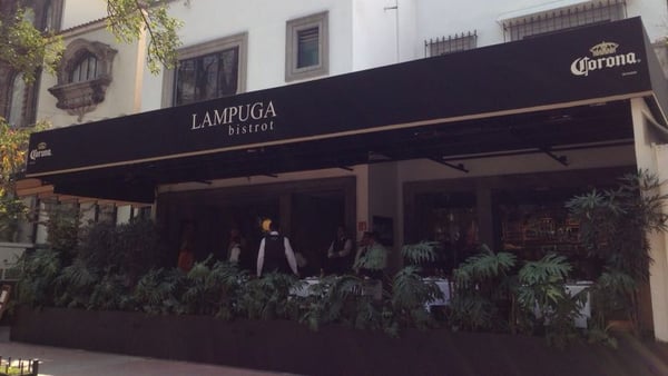 Lampuga by null