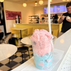 Tennessean Travel Stop - 2 scoops of ice cream $4.99- very tasty!