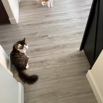 Brian Keeley’s American Floors - What a good company does. - Flooring Near Me - Visalia, California