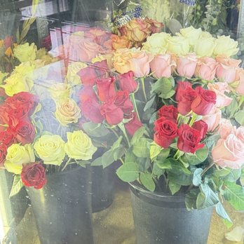 Alexandria's Flowers - Magnificent flowers - Florists Near Me - Pleasanton, California Alexandria's Flowers - Magnificent flowers - Florists Near Me - Pleasanton, California