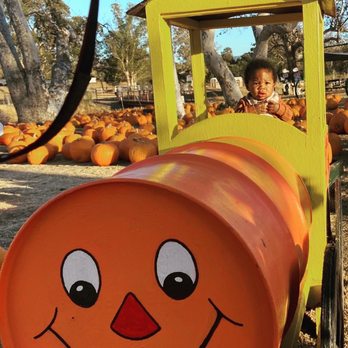 Joan's Farm & Pumpkin Patch - Little conductor - Pumpkin Patches Near Me - Livermore, California Joan's Farm & Pumpkin Patch - Little conductor - Pumpkin Patches Near Me - Livermore, California