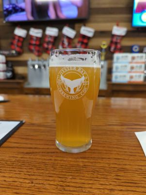 Oyster Bay Brewing Company by null