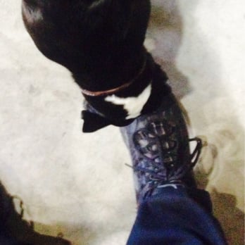 Spirit Works Distilling - Pup-Mascot BANDIT makes a request, "Heyyyy, I bin sniffin gin-fumes all day! Can I sniff yer shoe? clears mah head. *SNIFFF* - Beer, Wine & Spirits Near Me Spirit Works Distilling - Pup-Mascot BANDIT makes a request, "Heyyyy, I bin sniffin gin-fumes all day! Can I sniff yer shoe? clears mah head. *SNIFFF* - Beer, Wine & Spirits Near Me