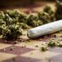 Photo of Cannabis Realm