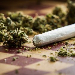Cannabis Realm