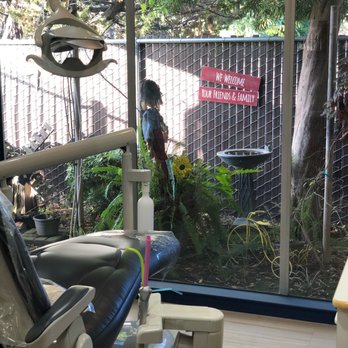 Stephen M. Huppert - Enjoy relaxing views from the dental chairs. - General Dentistry Near Me - Sacramento, California Stephen M. Huppert - Enjoy relaxing views from the dental chairs. - General Dentistry Near Me - Sacramento, California
