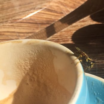 Pavé Cafe - There's a real buzz about Pave' coffee - Coffee & Tea Near Me - Norwood, SA Pavé Cafe - There's a real buzz about Pave' coffee - Coffee & Tea Near Me - Norwood, SA